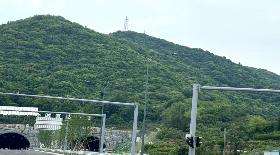 S203省道奉化段公路工程(金峨至應(yīng)家棚段)道路照明工程項(xiàng)目